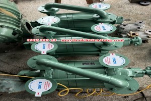 Máy thổi khí dạng ống (roots blower)