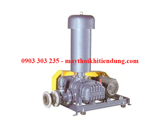 Máy thổi khí dạng ống (roots blower) 